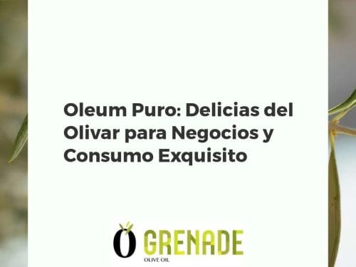 Oleum Puro: Delicias del Olivar para Negocios y Consumo Exquisito