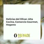 Campo de olivos al atardecer, cocina moderna con chef, y mesa familiar, simbolizando la versatilidad del aceite de oliva.