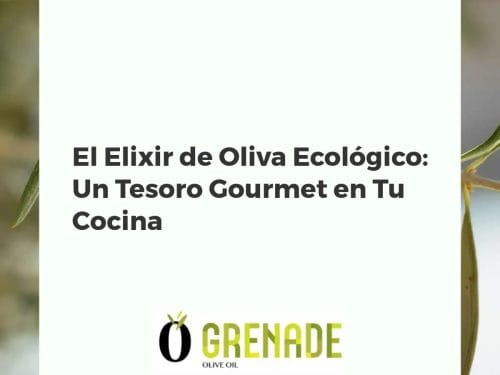 El Elixir de Oliva Ecológico: Un Tesoro Gourmet en Tu Cocina