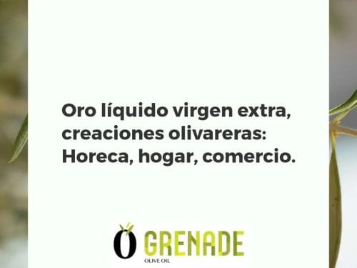 Oro líquido virgen extra, creaciones olivareras: Horeca, hogar, comercio.