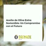 Botellas de AOVE sostenible para hostelería y hogar con olivos al fondo, simbolizando calidad y conciencia ambiental.