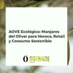 Botellas de AOVE ecológico premium en un estante de madera, con una aceitera y un plato gourmet, bajo un olivo.