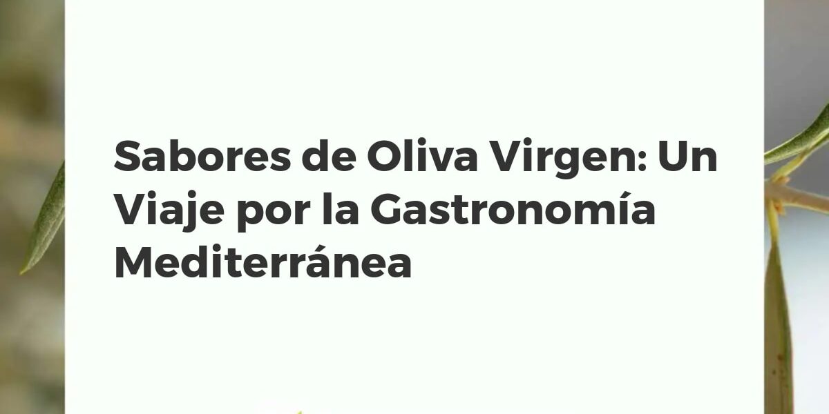 Sabores de Oliva Virgen: Un Viaje por la Gastronomía Mediterránea