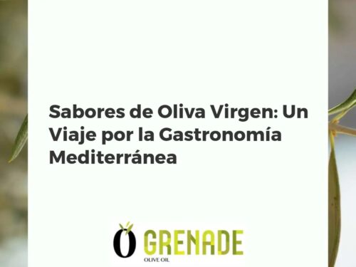 Sabores de Oliva Virgen: Un Viaje por la Gastronomía Mediterránea